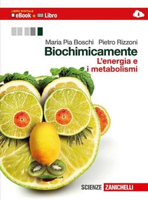 Copertina Biochimicamente - L'Energia E I Metabolismi (Ld)