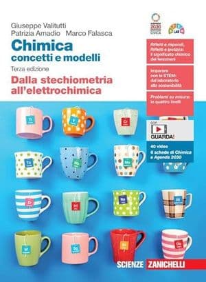 Copertina Chimica: Concetti E Modelli 3Ed. (Ldm)