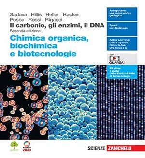 Copertina Carbonio, Gli Enzimi, Il Dna 2Ed. (Il). Organica, Biochim. Biotecn. (Ldm)