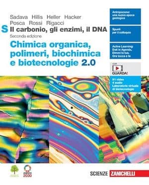 Copertina Carbonio, Gli Enzimi, Il Dna 2Ed. (Il). Organica 2.0 S (Ldm)