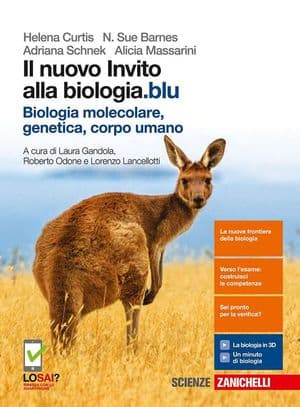 Copertina Nuovo Invito Alla Biologia.Blu (Il) - Biologia Mol, Genetica, Corpo U (Ldm)