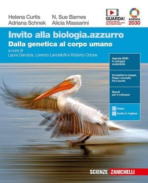Copertina Invito Alla Biologia.Azzurro  - Dalla Genetica Al Corpo Umano (Ldm)
