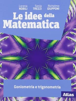 Copertina Idee Della Matematica (Le)