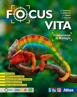 Copertina Focus Vita