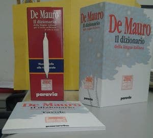 Copertina Dizionario Della Lingua Italiana