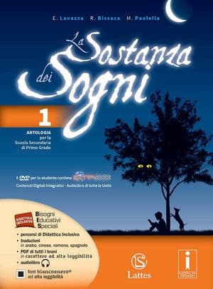 Copertina Sostanza Dei Sogni (La)