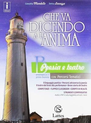 Copertina Che Va Dicendo A L'Anima Vol. B + Le Origini Della Letteratura On Line