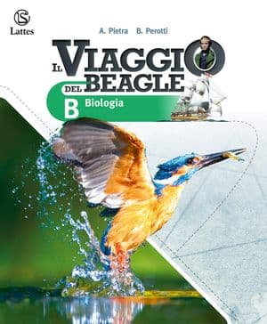 Copertina Viaggio Del Beagle (Il)