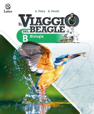 Copertina Viaggio Del Beagle (Il)