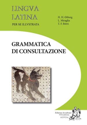 Copertina Grammatica Di Consultazione