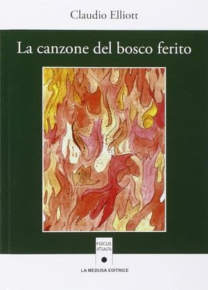 Copertina Canzone Del Bosco Ferito (La)